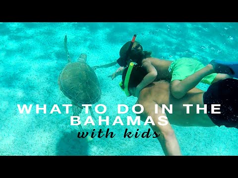 BAHAMAS WITH KIDS BAT CAVE WILD TURTLES ATLANTIS MORE