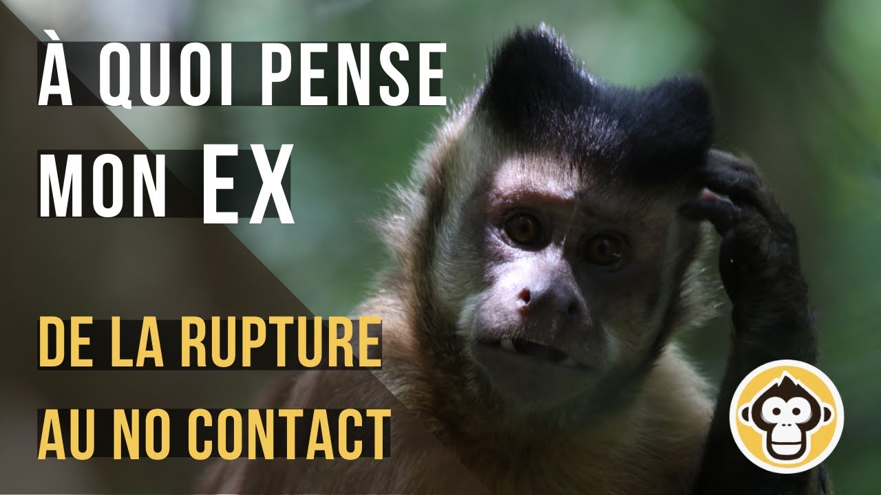 A quoi pense mon EX ? De la rupture au No Contact / Silence Radio