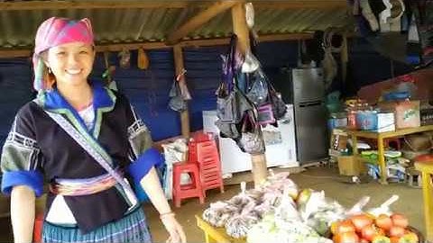 Vẻ Đẹp Tây Bắc - MÙ CANG CHẢI 9/2019 - Tết Độc Lập