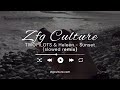 TWOPILOTS Heleen Sunset Slowed Zfgculture mp3