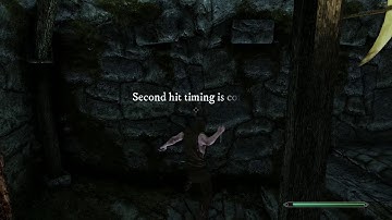 Skyrim Combat Mod: Engarde showcasing dual dagger power attack bug and fix