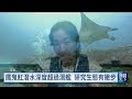 研究石垣島魔鬼魟生態 學者與潛水員合作