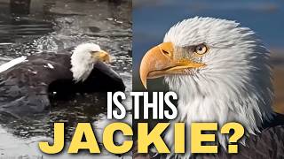 The Truth Behind Big Bear’s Eagle Rescue