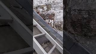Loose Lead Flashing Reinstall 5