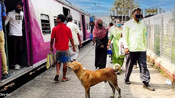 [4K] Beautiful EMU local Train on a crowded station and a dog came to see off his loved one