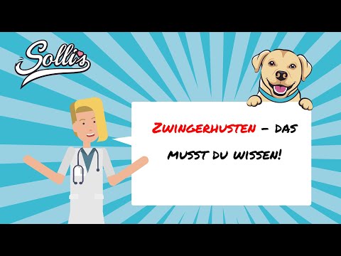 Video: Kann mein Welpe Zwingerhusten bekommen, wenn er geimpft wurde?