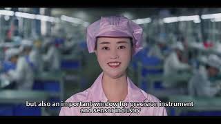 YOWEXA Company Profile