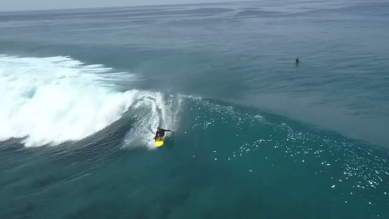 MF CATFISH SUPER SOFT x MICK FANNING SOFTBOARDS