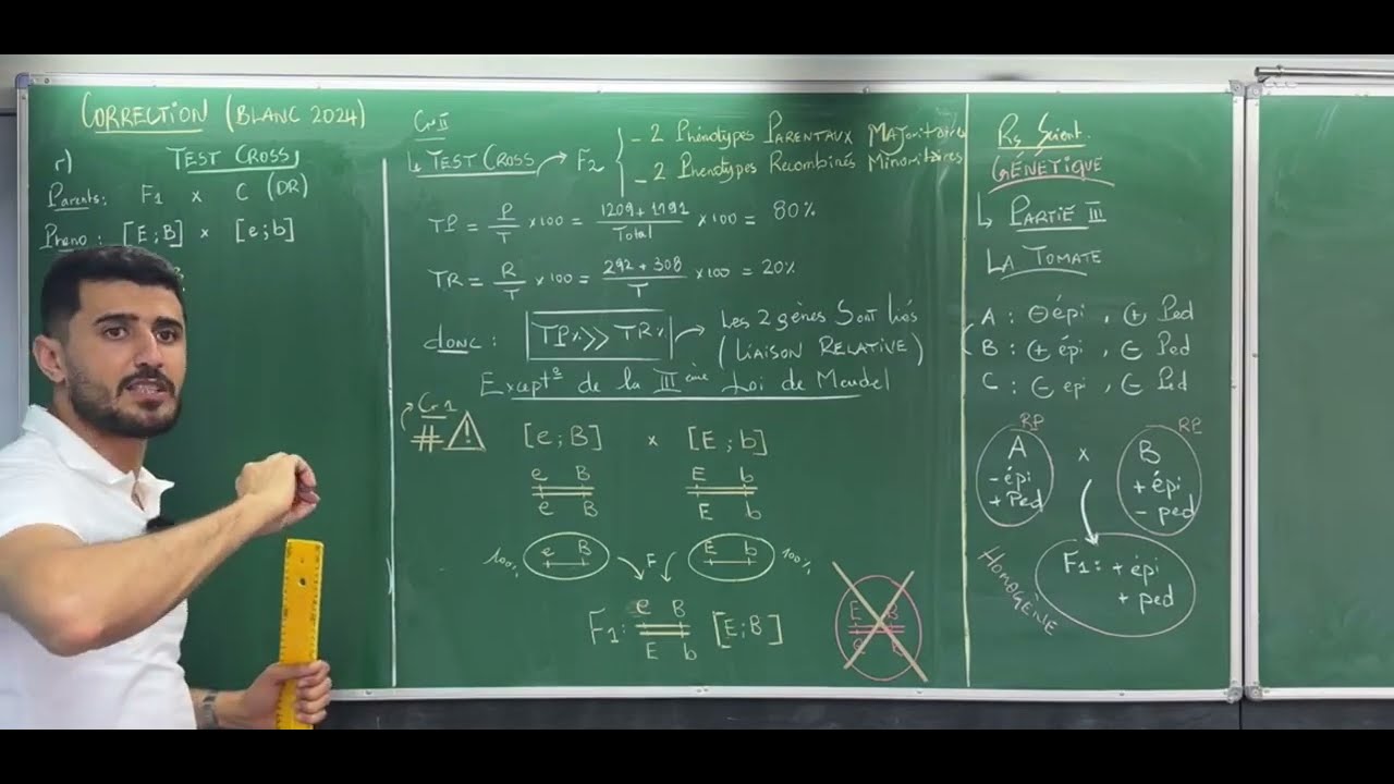 Correction Blanc SVT 2024 partie les lois statistiques Test cross / crossing-over carte factorielle