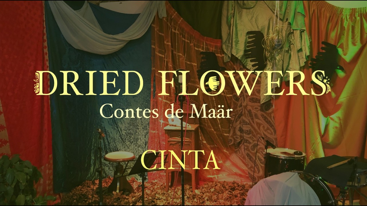 Dried Flowers (directe/live) - CINTA