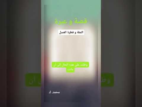 قصة و عبرة قصة النملة و قطرة العسل قصة ملخص حياة