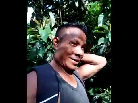 chiringniko natok kitta da.alde gasujok ripengrang
