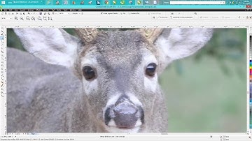 Corel Draw Tips & Tricks PhotoGrav Part 4