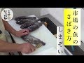 「しまぞい【Three striped rockfish】」のさばき方―札幌市中央卸売市場発