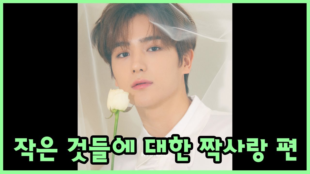 [더보이즈(THE BOYZ)/현재] 더보이즈 탐구생활 - 작은 것들에 대한 짝사랑 편 -