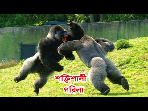 Jessica Lux porno rasmlar