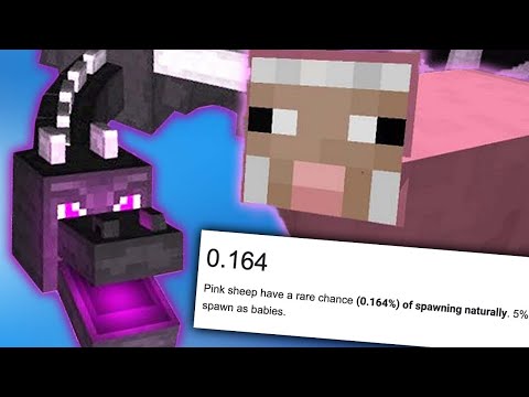 I TRIED SPEEDRUNNING MY SERVER...BUT FOUND A PINK SHEEP INSTEAD?