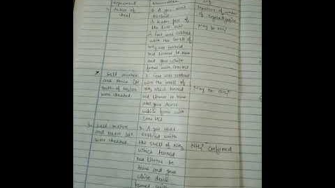 B.sc part 3 | Practical Exam |Patliputra University...