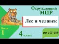 Лес и человек. Окружающий мир. 4 класс, 1 часть. Учебник А. Плешаков стр. 103-109