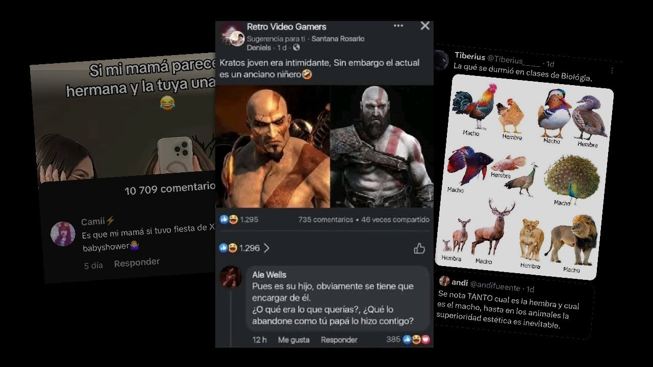 RECOPILACIÓN DE MEMES (2025)