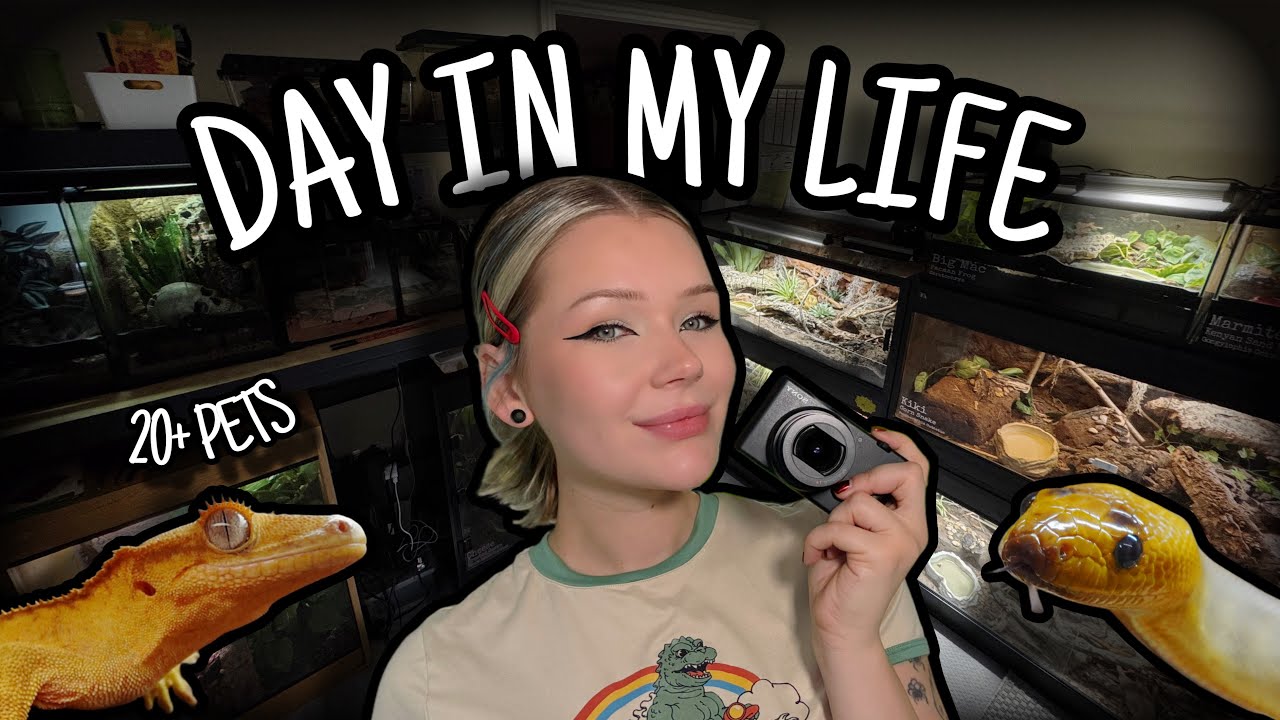 Day in the life of a Pet Tuber... | 20+ Pets