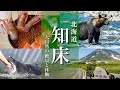 【北海道旅行】知床観光モデルコースと標津サーモン科学館を満喫する旅