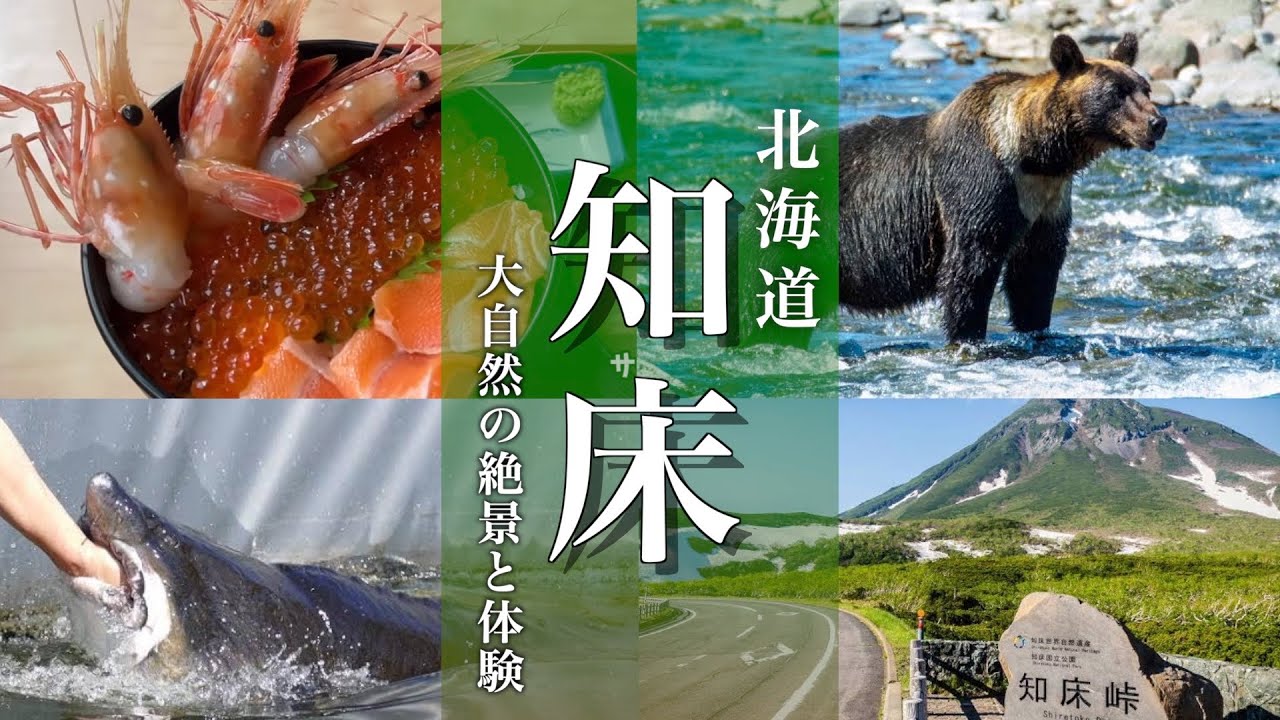 【北海道旅行】知床観光モデルコースと標津サーモン科学館を満喫する旅