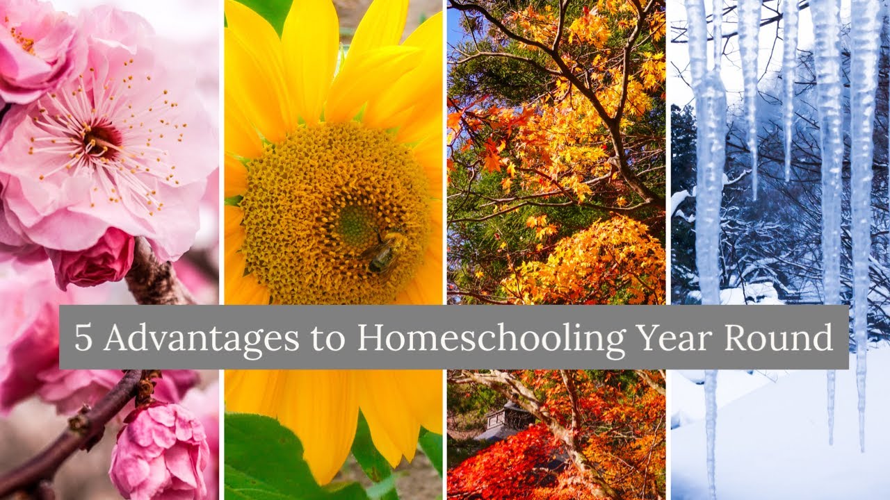 Homeschooling Year Round - 5 Advantages I have found 📚 ️ ️🎓 - YouTube