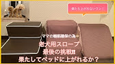 Diy 犬用階段を手作りしてみました Youtube Diy 犬用階段を手作りしてみました Youtube