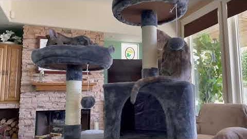 Yaheetech 62.2in Cat Tree Cat Tower, Multi-Level Cat Tree w/Double Condo, Cat Platform & Hammock