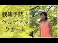 【ピラティス】腰痛予防になる!ぺルディックカール