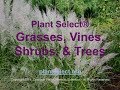 Plant Select Grasses, Vines, Shrubs, and Trees with Pat Hayward