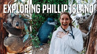 PHILLIP ISLAND PENGUIN PARADE | Exploring Phillip Island, Australia