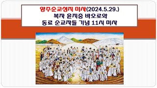 양주순교성지 미사(복자 윤지충 바오로 동료 순교자 기념 11시 미사 2024.5.29.)