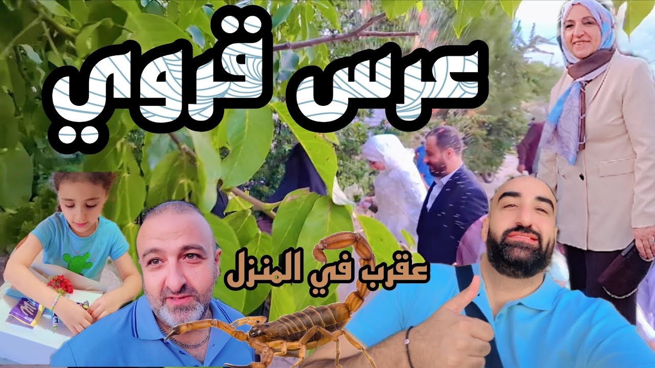 عقرب في المنزل يفسد مفاجئة عيد الأب وشاهد عادات العرس القروي