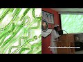 We Are More Than Human | A Double Dose of Healing Part 1- Baba Ausar