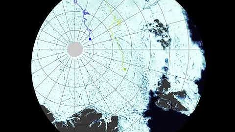 The @MOSAiCArctic ice floe speeds up southwards and goes down the drain in Fram Strait