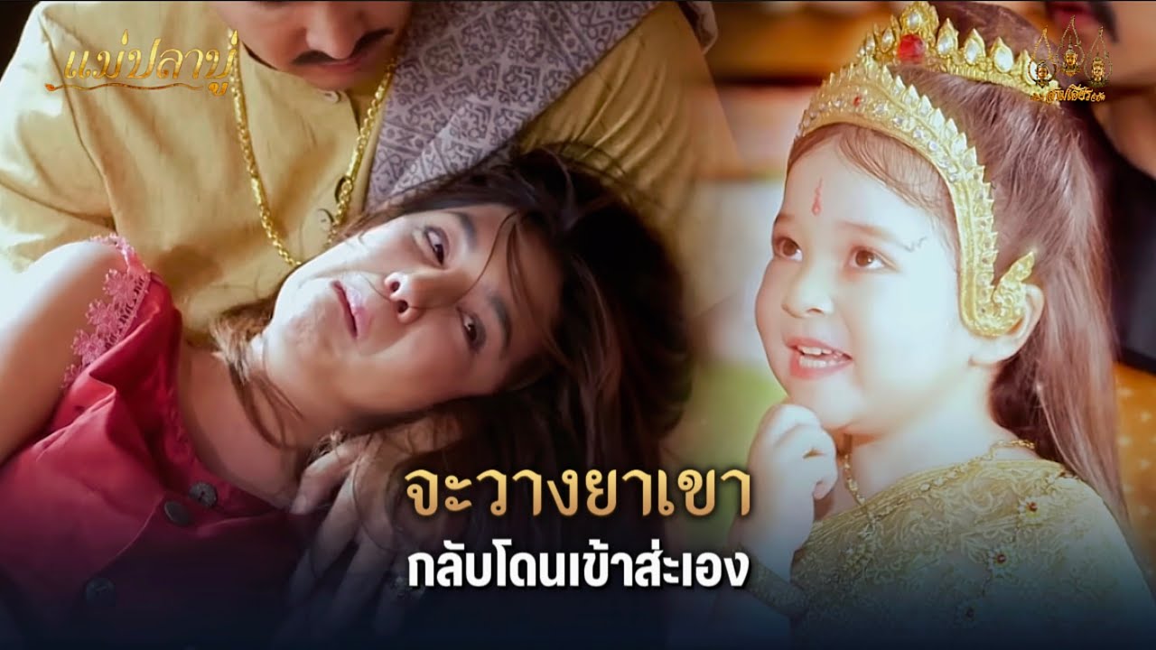จะวางยาเขา กลับโดนเข้าส่ะเอง | Highlight แม่ปลาบู่ EP.52 (ตอนจบ) | 24 ส.ค. 68 | Mamy sol