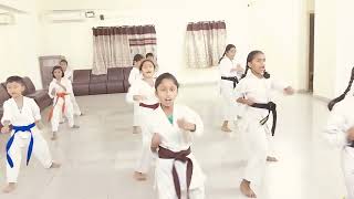Move Forward and Move Back Combination punches | Shotokan Sports #karate #martialarts #shotokan