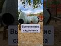 Так появляются садовники #мем #шутка #вылупление #садовник #яйца