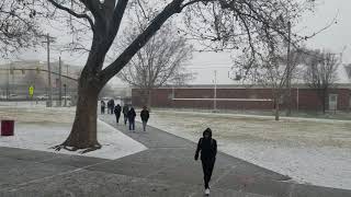 Salt Lake City Hailstrom! 2-5-19