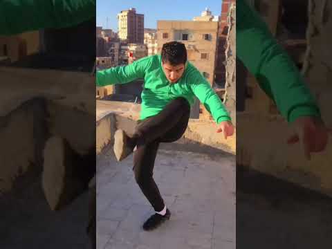 رقص علي مهرجان سامع كلاب بتعوي