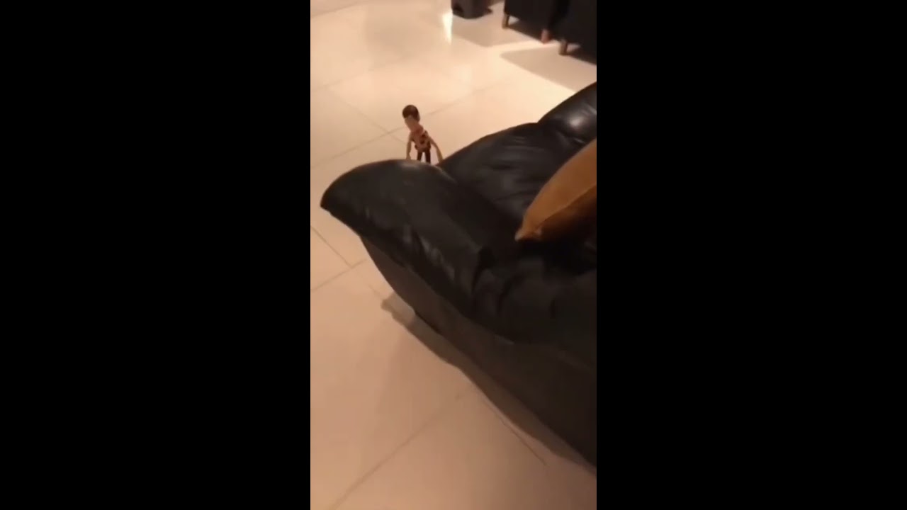 Things Humans Were Never Meant To See Shorts