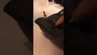 Famous Things humans were never meant to see😰 #shorts Profile