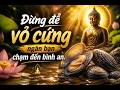 Đừng để "vỏ cứng" ngăn bạn chạm đến bình an.