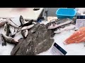 Лиссабон Португалия 11-14 августа 2023