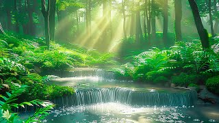 Calming music for nerves 🌿 healing music for the heart and blood vessels, relaxation by Blissful Moments 407 views 3 days ago 3 hours, 35 minutes