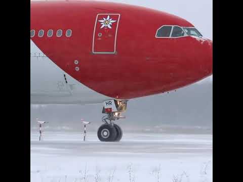 Сквозь снегопад, руление Airbus A330 швейцарской авиакомпании Edelweiss Air в Домодедово