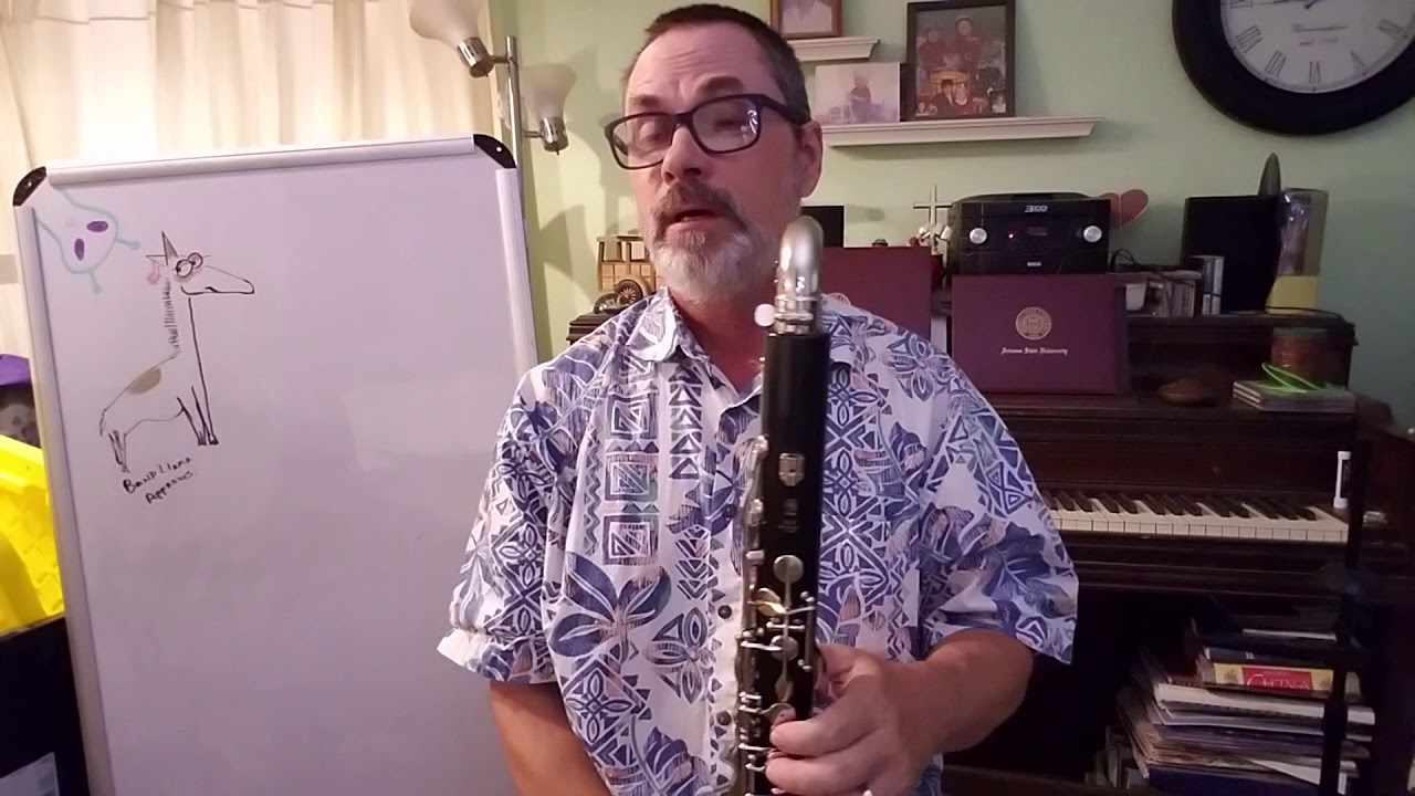 Bass Clarinet: Donkey Riding - YouTube