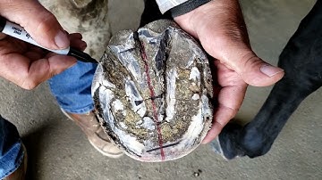 How to use the COBIT - Center of Balance Indicating Tool